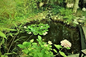 Un estany amb nenúfars i flors, envoltat de vegetació.