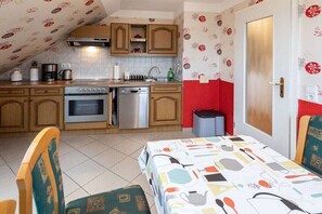 Fridge, microwave, oven, stovetop - Gaartz with Elbe view (Dresden)