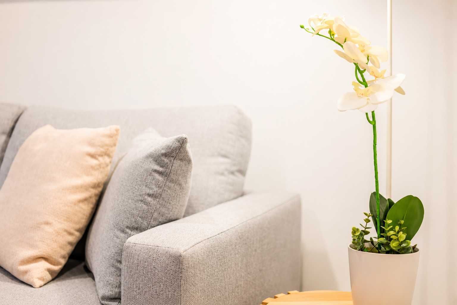 Modern 2br With Patio | Christchurch Cbd - Lyttelton