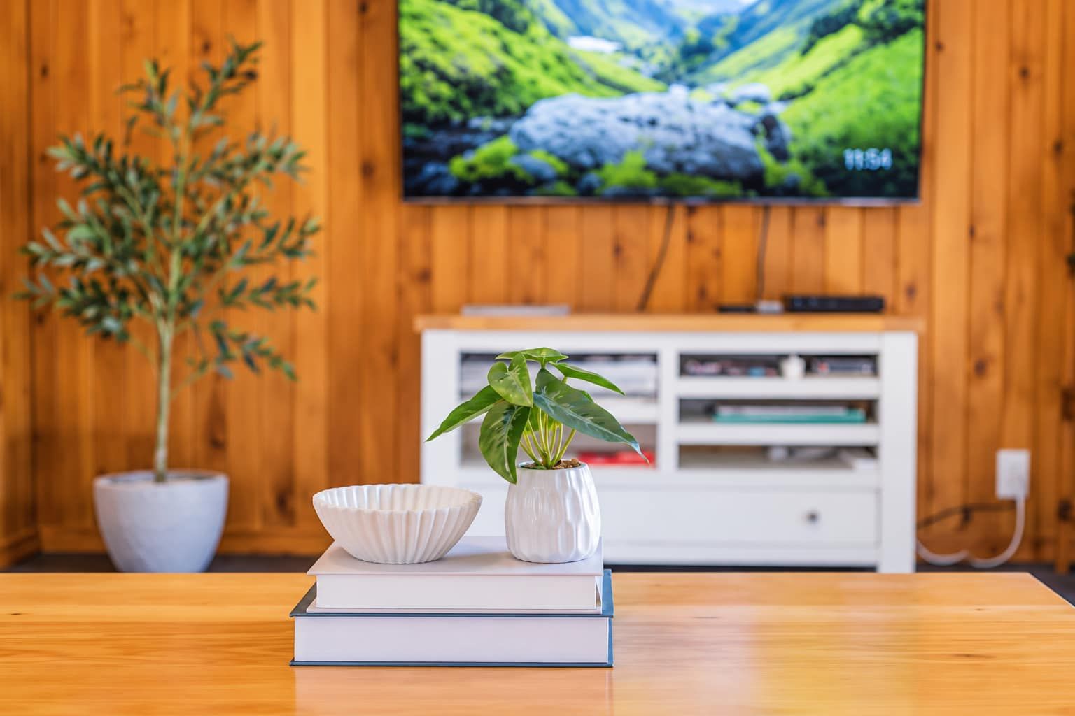 Una mesa de madera con una planta y un cuenco encima de un libro, un televisor en la pared y un mueble blanco para equipos electrónicos.