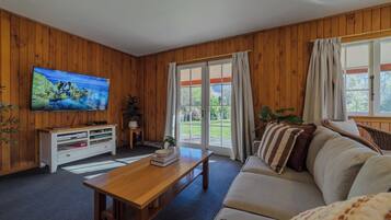 Televisión, chimenea