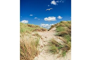 Beach - Holiday apartment in Norderney with Wi-Fi (Norderney)