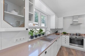 Coffee/tea maker, fridge, microwave, oven - Holiday apartment in Labin with swimming pool (Labin)