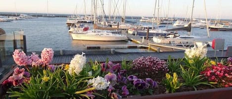 Marina