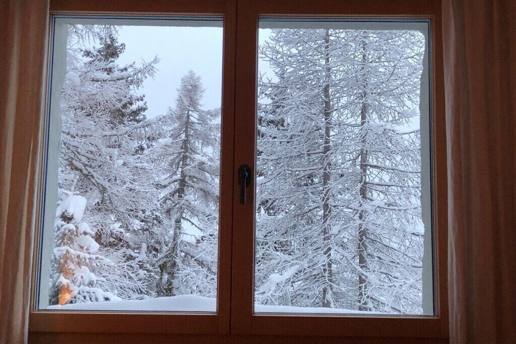 Ein Fenster mit Blick auf verschneite Bäume.