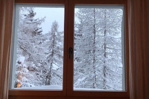 Ein Fenster mit Blick auf verschneite Bäume.