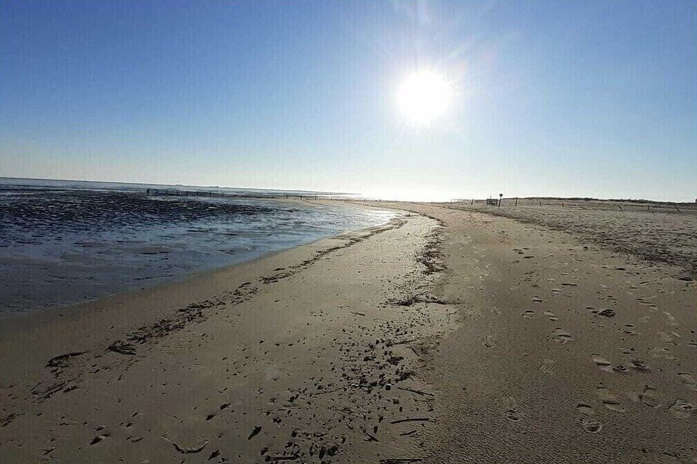 Playa