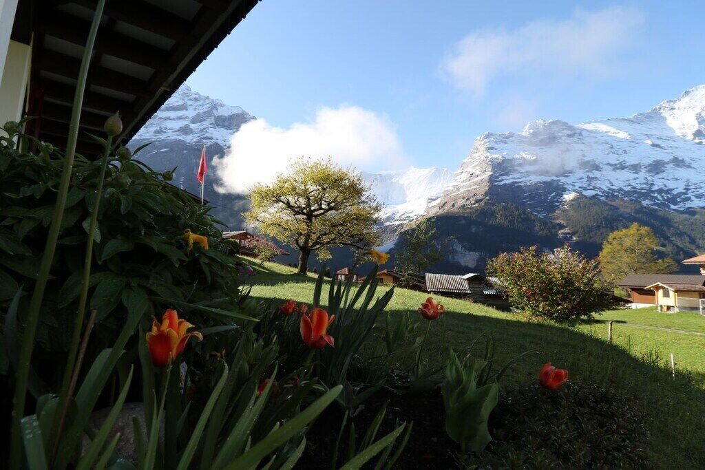 Ein Garten mit Tulpen und eine Berglandschaft mit schneebedeckten Gipfeln.