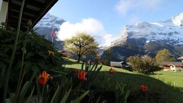 Ein Garten mit Tulpen und eine Berglandschaft mit schneebedeckten Gipfeln.