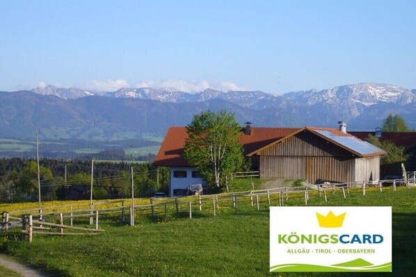 Exterior - Holiday apartment with 1 bedroom (Bernbeuren)