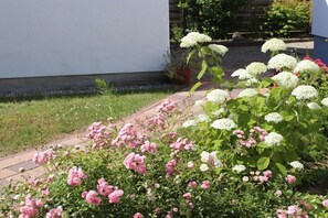 Property grounds - Holiday with a fisherman (Ostseebad Rerik)