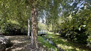 En naturskön miljö med ett träd, en liten bäck och en bro i bakgrunden.