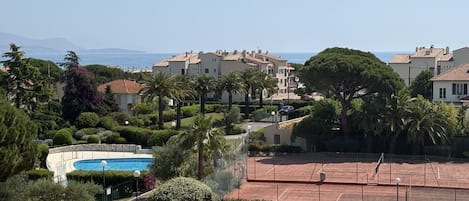 Alberca