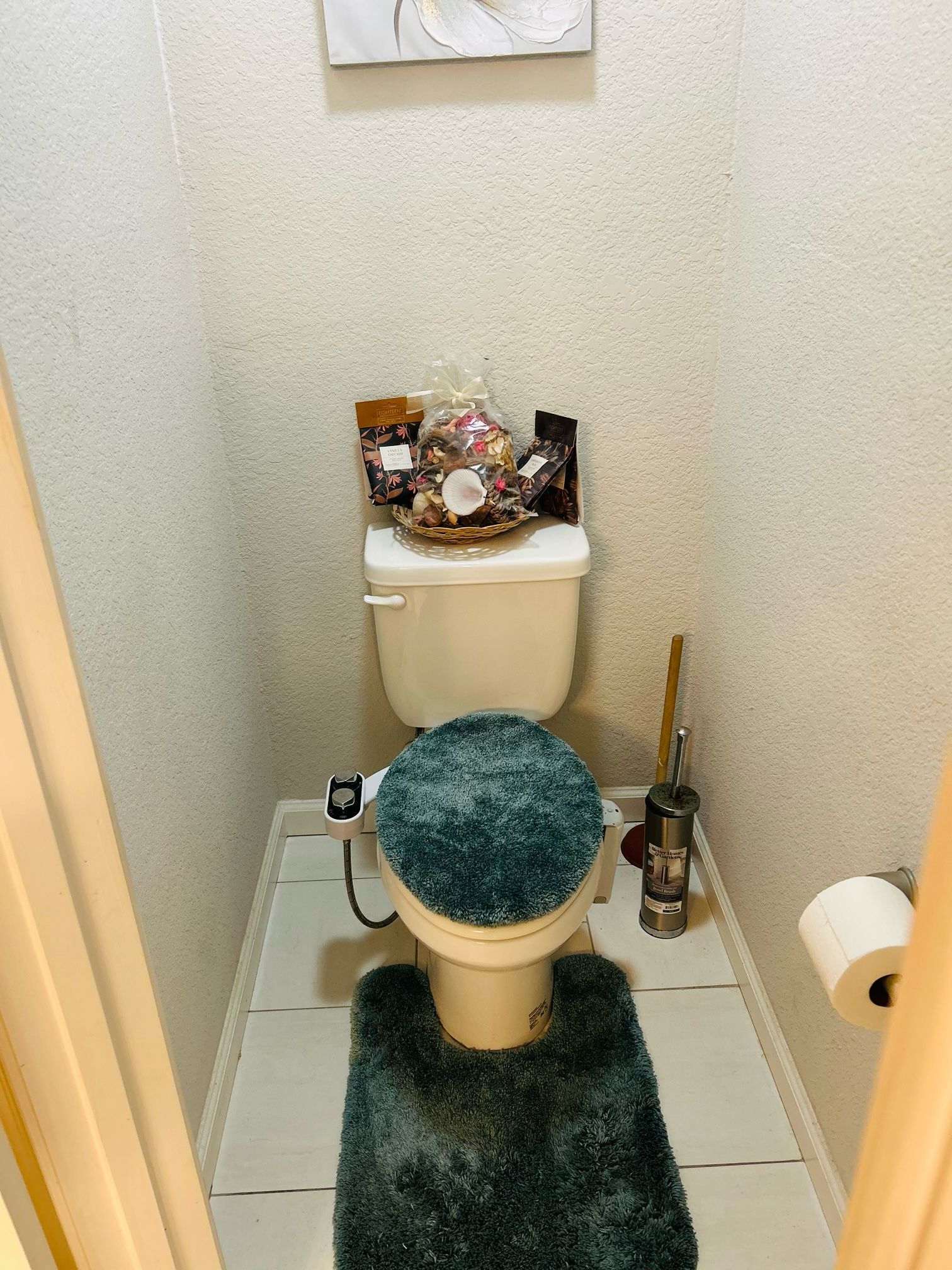 Une salle de bain avec des toilettes, un tapis bleu, une brosse pour les toilettes et un panier contenant des articles de toilette.
