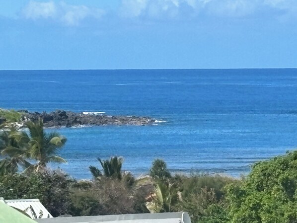 Une vue sur la côte, avec un ciel dégagé, une côte rocheuse et une végétation luxuriante.