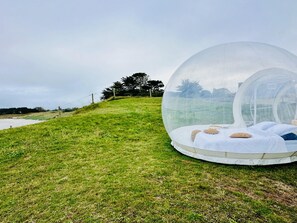 Ferienhaus | Blick von der Unterkunft