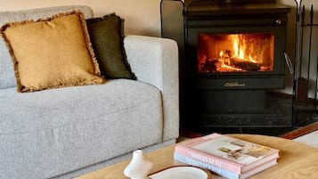 Fernseher, Kamin