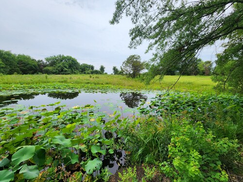 3-bedroom farmhouse in tranquil Emory with cool AC