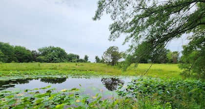 3-bedroom farmhouse in tranquil Emory with cool AC