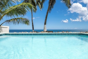 Una piscina azul cristalina con vistas al océano y palmeras.