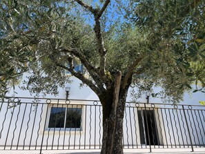 Exterior - OLYMPE: Family Villa with a Pool on the French Riviera (L'Escarène)