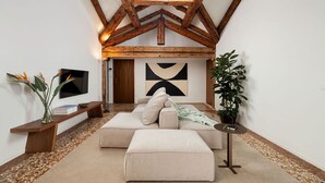 Smart TV, libri