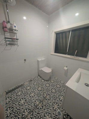 Shower, towels, toilet paper