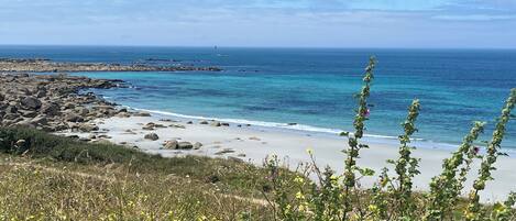 Playa