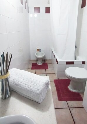 Bidet, Handtücher, Seife, Toilettenpapier