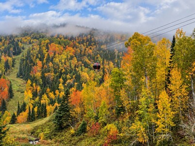 Aspen Cottage Ski In Ski Out 1BR at Lutsen Mtn