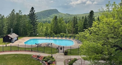 Aspen Cottage Ski In Ski Out 1BR at Lutsen Mtn