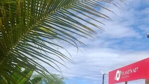 Two ostriches walking on a wet surface near a building with a red sign. - Cactus Hotel e Resort (Crateús)