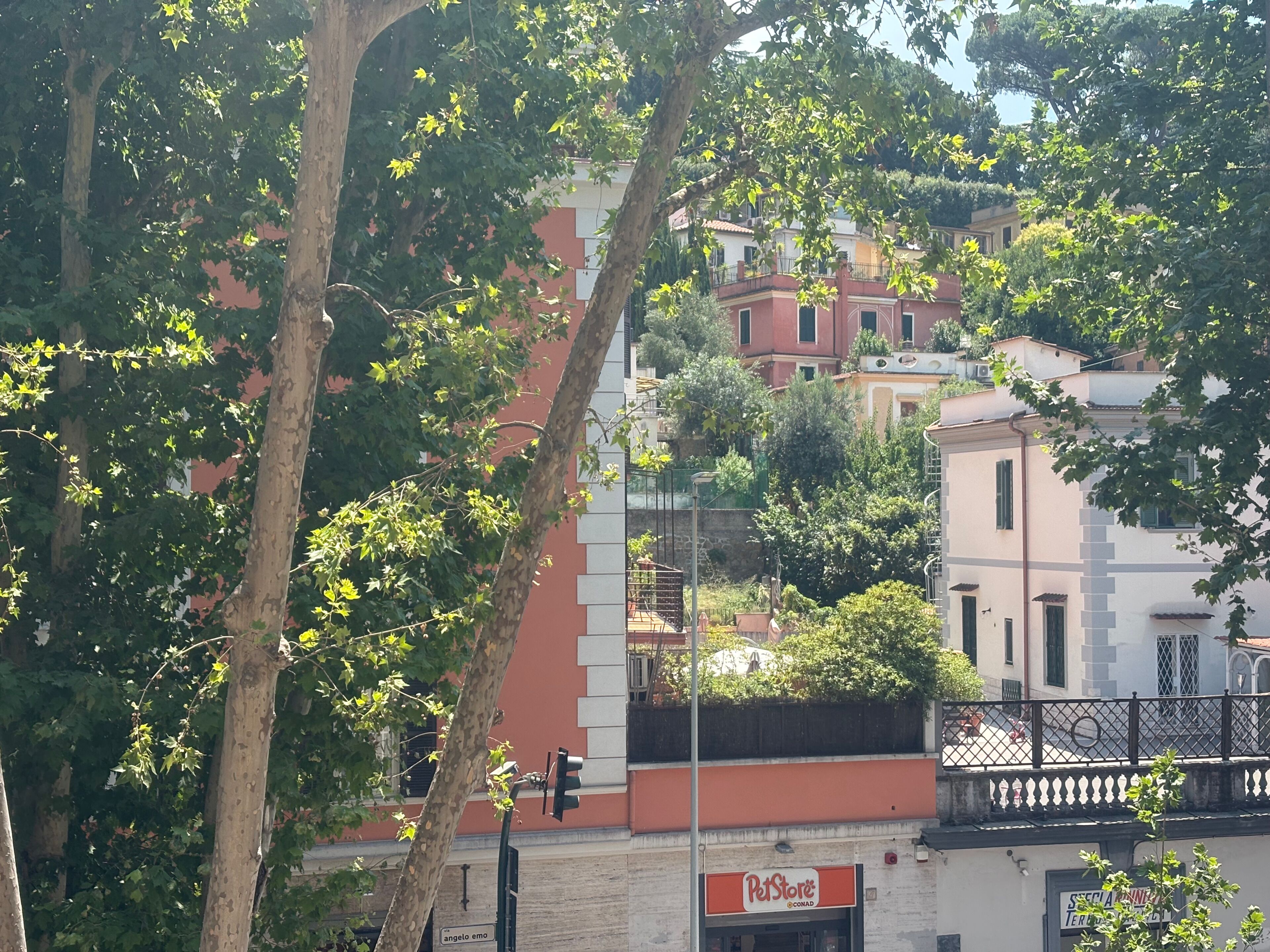 Un edificio con un letrero de PetStore, rodeado de árboles y otros edificios.