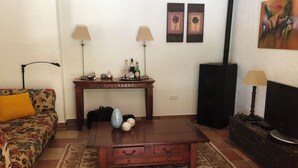 Smart TV, fireplace, stereo - Vivenda Oliveirinha: Private Home with Pool and Wellness Center (Azival - Mortágua)