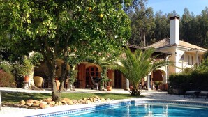 Outdoor pool - Vivenda Oliveirinha: Private Home with Pool and Wellness Center (Azival - Mortágua)