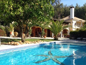 Outdoor pool - Vivenda Oliveirinha: Private Home with Pool and Wellness Center (Azival - Mortágua)