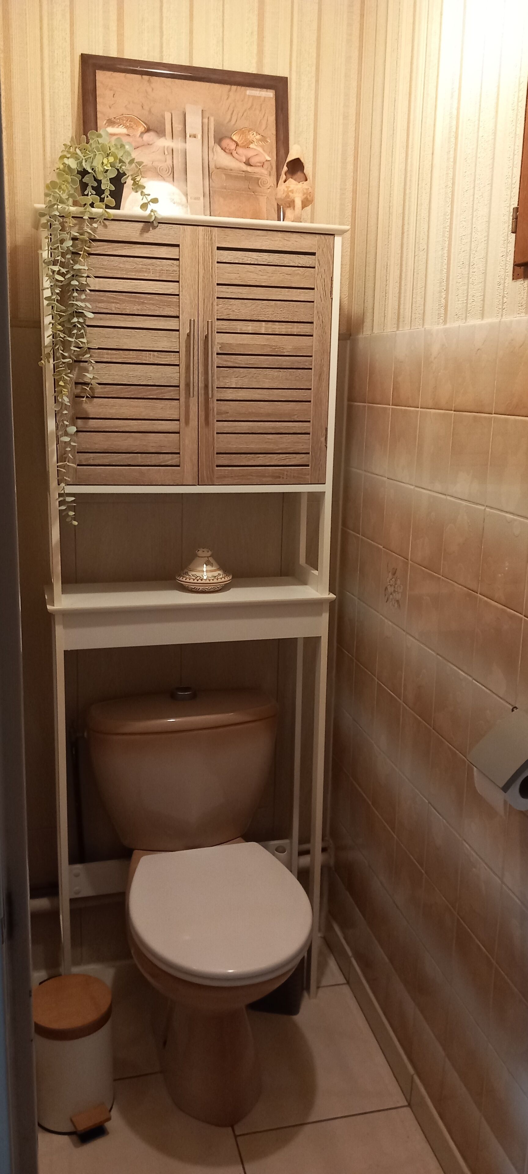 Un baño pequeño con inodoro, un estante con un adorno y un dispensador de papel higiénico en la pared.
