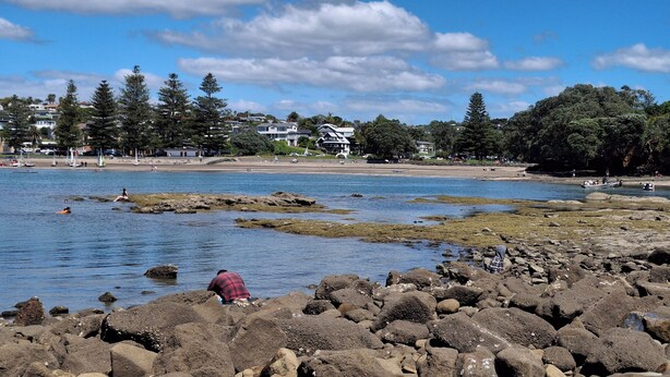 A rocky shoreline with a clear view of the water and distant buildings. - Charming Studio With Ocean Views in Auckland (Auckland)