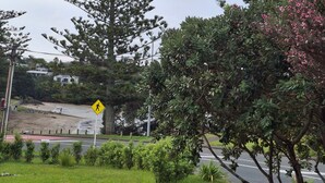 A grassy area with a pedestrian crossing sign, a road, and a large tree. - Charming Studio With Ocean Views in Auckland (Auckland)