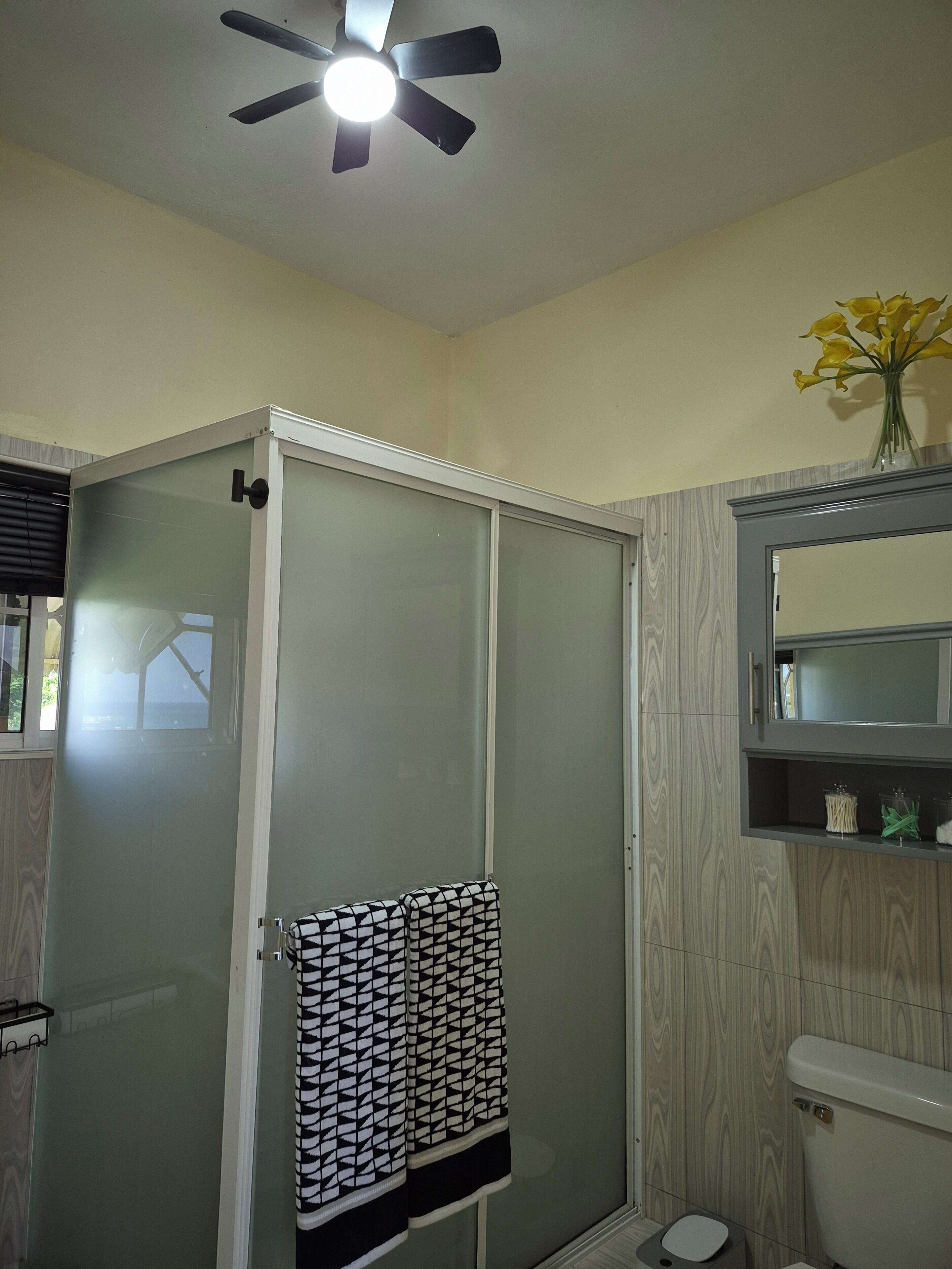 Secadora de cabello, toallas, jabón, papel de baño 
