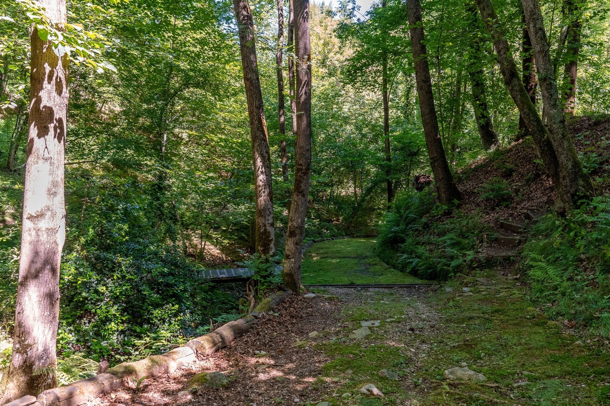Parco della struttura