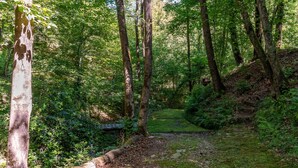 Un área boscosa con un sendero de tierra que lleva a un pequeño puente sobre un arroyo.