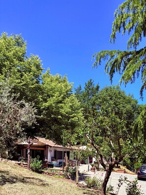 Ein Haus mit Ziegeldach, umgeben von Bäumen und einem Garten.