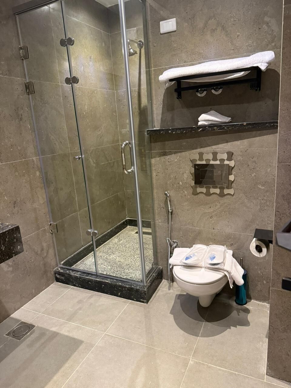 A bathroom with a glass-enclosed shower, a toilet, and a towel rack.