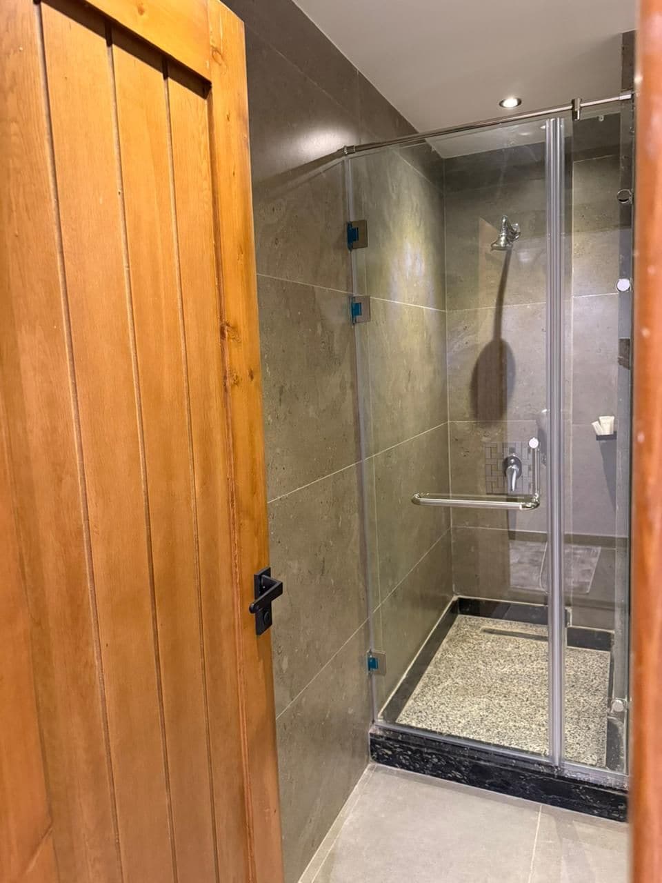 Un espace douche clos par des parois de verre, doté d’une porte en bois, de murs carrelés et d’un pommeau de douche.