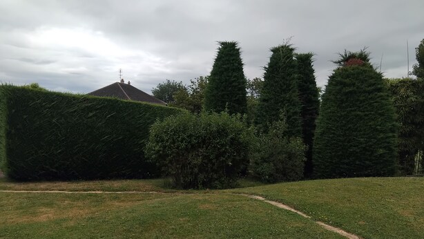 A well-maintained grassy area with a pathway, surrounded by neatly trimmed hedges and tall trees. - Our apartment welcomes you. Comfort and serenity..... (Bouzais)