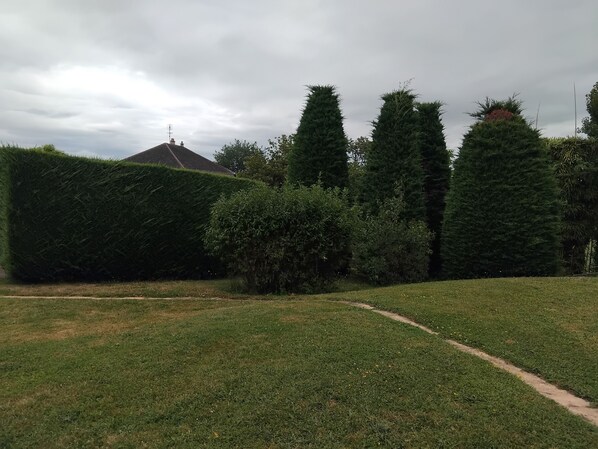 Un área verde bien cuidada con un sendero, rodeada de setos recortados y árboles altos.