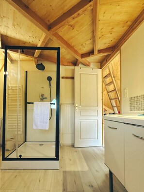 Regadera y papel de baño