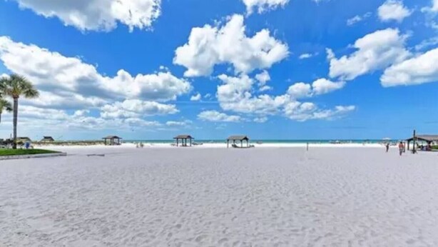 Ein Strand mit blauem Himmel und Palmen.