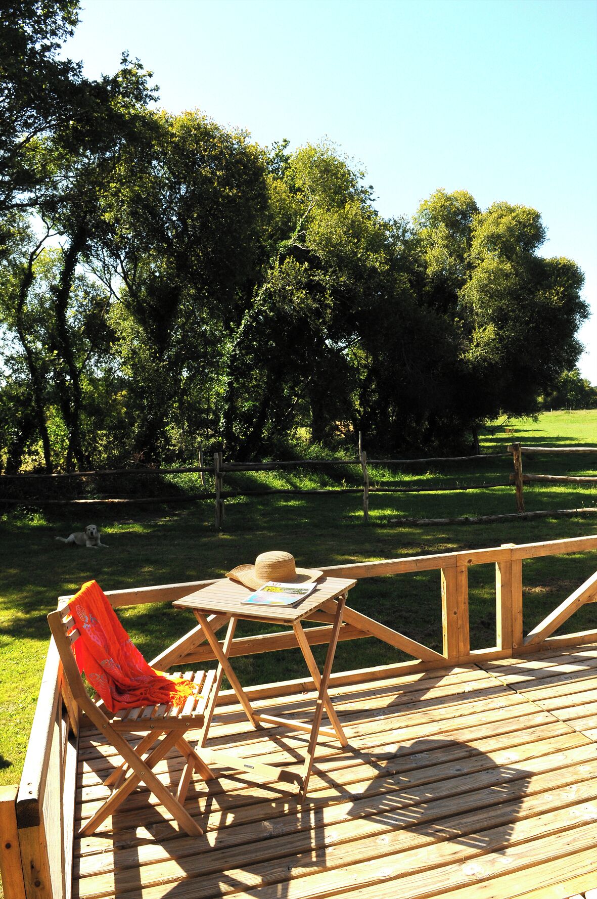Terrassa o pati